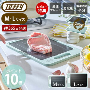 y365o&XTtztoffy gtB[ 𓀃v[gt JbeBO{[hM L 𓀃v[g ܂Ȕ 12 } ⓀHi eM K-KU24 K-KU24-L 2way R }    ٓ 