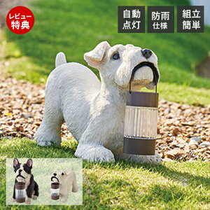 【当店限定特典付】ソーラーオーナメント LED 照明 太陽光 ソーラー 充電 自動 点灯 玄関 防水 エントランス おしゃれ かわいい 犬 ガーデニング 屋外 置き型 防雨 防犯 光センサー セトクラ