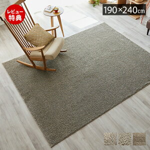 【豪華特典2個付き】ラグ 洗える 日本製 オールシーズン ラグマット 190×240 こたつ 北欧 おしゃれ 防ダニ 床暖房 ホットカーペット対応 絨毯 長方形 滑り止め ウォッシャブル リビング アイ