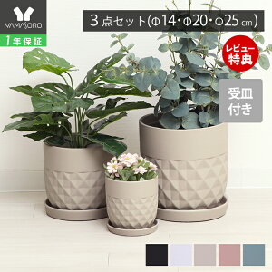 y1Nۏ&XTtzAؔ t[|bg ϗtA O[ 4 5 6 7 8 CeA  v^[ Mt M Z~bN  O  Jo[ 3Zbg 25cm 20cm