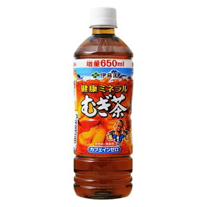 ɓ N~lނ PET 650ml×24{i1P[Xj