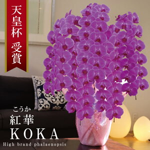 oוs 񖢒 Y Ӓ Ԏ 5{ 70ց` yg؁ijZsNz Q 摜zM Yn j v[g  Mtg  {炿 蕨 ̓ 