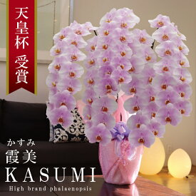 就任祝い 胡蝶蘭 大輪 5本立ち 70輪〜 純国産 淡いピンク 霞美 かすみ 花持ち長い 移転祝い 開業祝い 竣工祝い 開店祝い 昇進祝い 当選祝い 退職祝い 誕生日祝い 法人ギフト 立札 画像配信 産地温室直送 お祝い プレゼント 花 ギフト 最短当日発送 王立園芸協会登録商品
