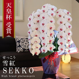 純国産 胡蝶蘭 花持ち長い 大輪3本立ち 45輪〜 【雪紅（せっこう）白赤】 蕾 画像配信 産地温室直送 お祝い プレゼント 花 ギフト 特別 日本育ち 贈り物 母の日 お供え お誕生日 開店祝い 開業祝い 移転祝い 就任祝い 昇進祝い 当選祝い 記念日 当日発送 日本橋 銀座