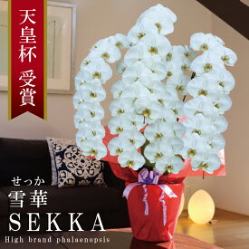 純国産 胡蝶蘭 花持ち長い 大輪 5本立ち 63輪〜 【雪華（せっか）白】 蕾 画像配信 産地温室直送 お祝い プレゼント 花 ギフト 特別 日本育ち 贈り物 母の日 お供え お誕生日 開店祝い 開業祝い 移転祝い 就任祝い 昇進祝い 当選祝い 記念日 当日発送 日本橋 銀座