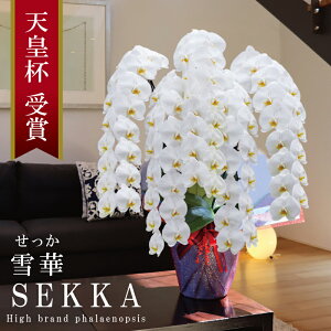 yv~AzY Ӓ Ԏ 5{ 75ց`y()zYn j v[g  Mtg  蕨 ̓  a JXj JƏj ړ]j 