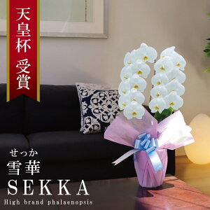 Y Ӓ Ԏ  2{ 18ց` y؁ijz Yn j v[g  Mtg  {炿 蕨 ̓  a JXj JƏj ړ]j 