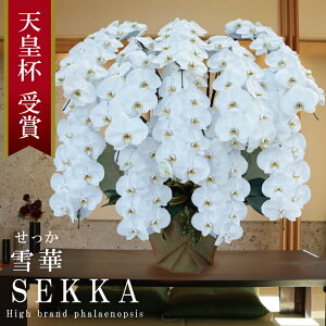 yv~AzY Ӓ Ԏ 10{ 100ց` 100,000~y()z 摜zM Yn j v[g  蕨 CpNg  {炿 a JXj J