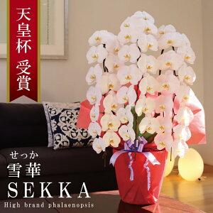 Y Ӓ Ԏ 3{ 42ց` y؁ijz Q 摜zM Yn j v[g  Mtg  {炿 蕨 ̓  a JXj JƏj