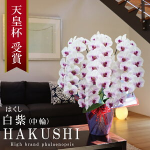 Y Ӓ Ԏ  5{ 55ց`y(͂)zɎ̃XgCv x炫 v[g j  ̓Mtg 蕨  a j JXj JƏj ړ]j