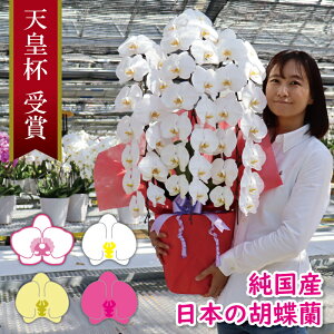 Y Ӓ ʐ^zM DEbsOI  3{ 24ց`iڂݍj  3{` j v[g   蕨 a JXj JƏj ړ]j ACj 