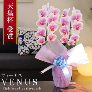Y Ӓ Ԏ  2{ 18ց`yVenus(B[iXjzsN Of[V x炫 v[g j  ̓Mtg 蕨  a j JXj J