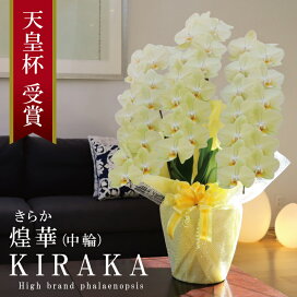 kiraka80m-top.jpg?fitin=272:272
