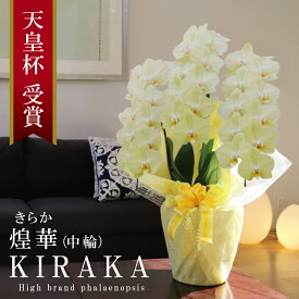≪出荷不可 次回未定≫ 希少 純国産 胡蝶蘭 花持ち長い 中輪3本立ち 30輪〜 20,800円【煌華(きらか)】 黄色 画像配信 産地温室直送 お祝い 母の日ギフト 縁起良い 商売繁盛 長寿祝 開店祝 開業祝 移転祝 就任祝 昇進祝 当選祝 当日発送 日本橋 銀座 王立園芸協会登録商品