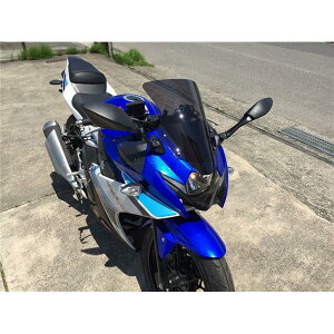�݌ɂ��� ACRY-Point �A�N���|�C���g 160221 �X�N���[�� �X�g���[�g(�X���[�N/������/5cm�����O) GSX250R