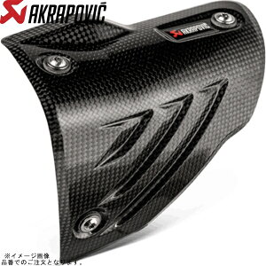 AKRAPOVIC AN|rb` P-HSB10E3 IvVi q[gV[h J[{ S1000RR 19-23/S1000R 21-23