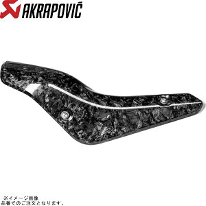 AKRAPOVIC AN|rb` P-HSY10SO6 IvVi J[{q[gV[h MT-10 22-23