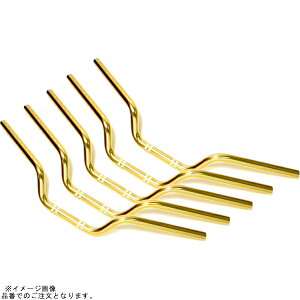 EFFEX EBF075G-5SET �C�[�W�[�t�B�b�g�o�[ �V�����p���S�[���h HORNET250 (5�{�Z�b�g�i)