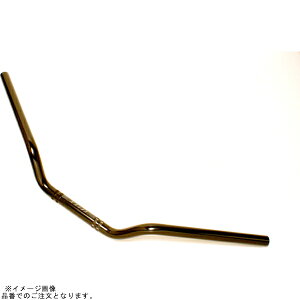 EFFEX EBF201K �C�[�W�[�t�B�b�g�o�[ �u���b�N V-MAX