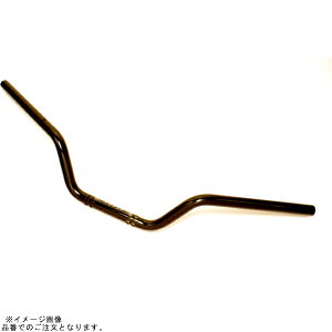 EFFEX EBF501K �C�[�W�[�t�B�b�g�o�[ �u���b�N GSX1400/Z