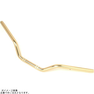 EFFEX EBF715G �C�[�W�[�t�B�b�g�o�[ �V�����p���S�[���h ZRX1200R/S