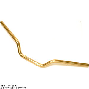 EFFEX EBF730G �C�[�W�[�t�B�b�g�o�[ �V�����p���S�[���h ZRX1200DAEG