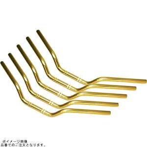 EFFEX EBL529G-5SET �C�[�W�[�t�B�b�g�o�[Low �V�����p���S�[���h BANDIT1250/F/S ABS (5�{�Z�b�g�i)