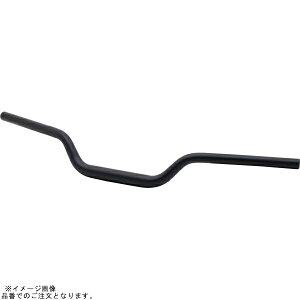 EFFEX EBTF376K C[W[tBbgo[ ubN XSR900