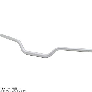 EFFEX EBTF376S C[W[tBbgo[ Vo[ XSR900