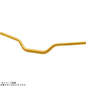 EFFEX EBTF550G C[W[tBbgo[ S[h GSX-S1000GT