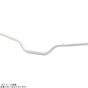 EFFEX EBTF550S C[W[tBbgo[ Vo[ GSX-S1000GT