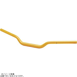 EFFEX PBTF369G C[W[tBbgo[Plus S[h MT-09