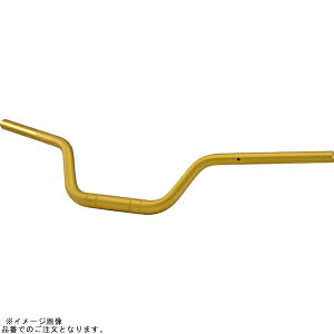 EFFEX PBTF762G C[W[tBbgo[vX S[h Z900RS