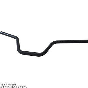 EFFEX PBTF762K C[W[tBbgo[vX ubN Z900RS