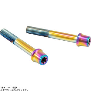 PLOT brembo �v���g�u�����{ CMBT-070T �X�e�����X�L�����p�[�}�E���g�{���g �`�^���F 70mm �e�[�p�[�L���b�v M10/P1.25 �w�N�T���r���� 2�{��