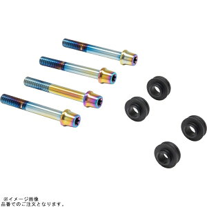 PLOT brembo �v���g�u�����{ CBK-05BTT �I�t�Z�b�g�J���[�}�E���g�{���g�Z�b�g �K���L�����p�[B �e�[�p�[�L���b�v �`�^���F ZX-4RR/ZX-4R SE ��290(�m�[�}��)