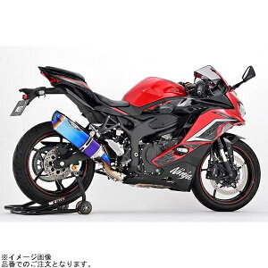 BEET r[g 0227-KH7-BL NASSERT Evolution Type 2 tGL][Xg`^}t[ u[`^TCT[ Ninja ZX-25R