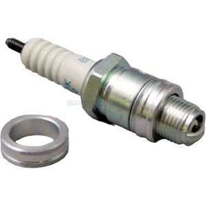 CF POSH CF|bV 490010 BES-BPHS vOϊA_v^[