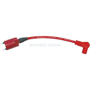 �݌ɂ��� CF POSH CF�|�b�V�� 221010-04 ���[�V���OIG�R�C�� �X�s�[�h�v���c�C���V���R���v���O�R�[�h�t ���b�h/���b�h �v���O�L���b�v�L NSR50/80,NS-1
