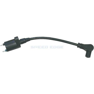 �݌ɂ��� CF POSH CF�|�b�V�� 221011-09 ���[�V���OIG�R�C�� �X�s�[�h�v���c�C���V���R���v���O�R�[�h�t �u���b�N �u���b�N �v���O�L���b�v�L NSR50/80,NS-1