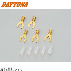 DAYTONA fCgi 41231 N^[q LE106(6)