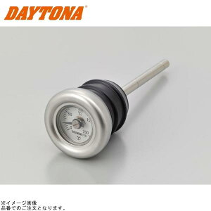 DAYTONA fCgi 62487 fBbvXeBbNtv XL883C FXST 