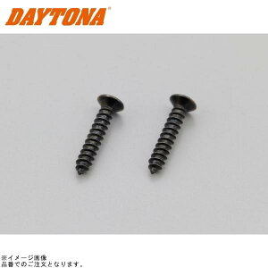 DAYTONA fCgi 24267 GIVI M2×12CSK ^bsOXN[ 2 mbN MP60N/MP70N Ci