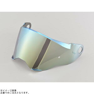 DAYTONA �f�C�g�i 48939 DN-004LT �V�[���h �S�[���h�~���[
