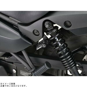 DAYTONA fCgi 48729 _Cwbgz_[ ELIMINATOR