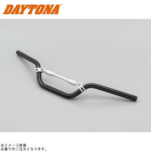 DAYTONA fCgi 65660 Cho[2(MID)ubN(APEnp)