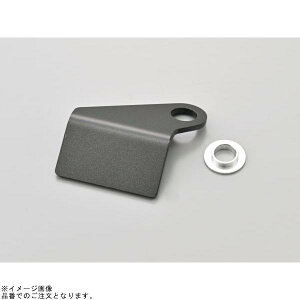 DAYTONA fCgi 49661 RpNgfW^[^[Xe[ E