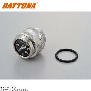 DAYTONA fCgi 95109 RRxv W800/STREET/CAFE(11`23) W650(99`08) 400(06`08)