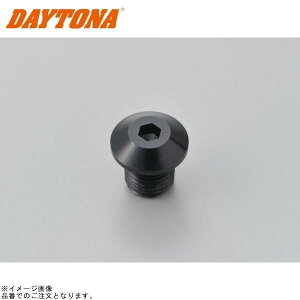 DAYTONA fCgi 99616 ~[߃{g lW ubN