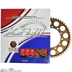 XAM U A4208X44 XvPbg(v~A) 520-44T